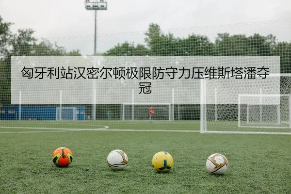 xiong-ya-li-zhan-han-mi-er-dun-ji-xian-fang-shou-li-ya-wei-si-ta-pan-duo-guan-2-782.jpg